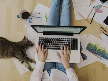 remote working
